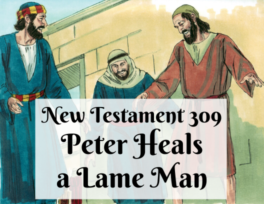 NT 309 - Peter Heals a Lame Man
